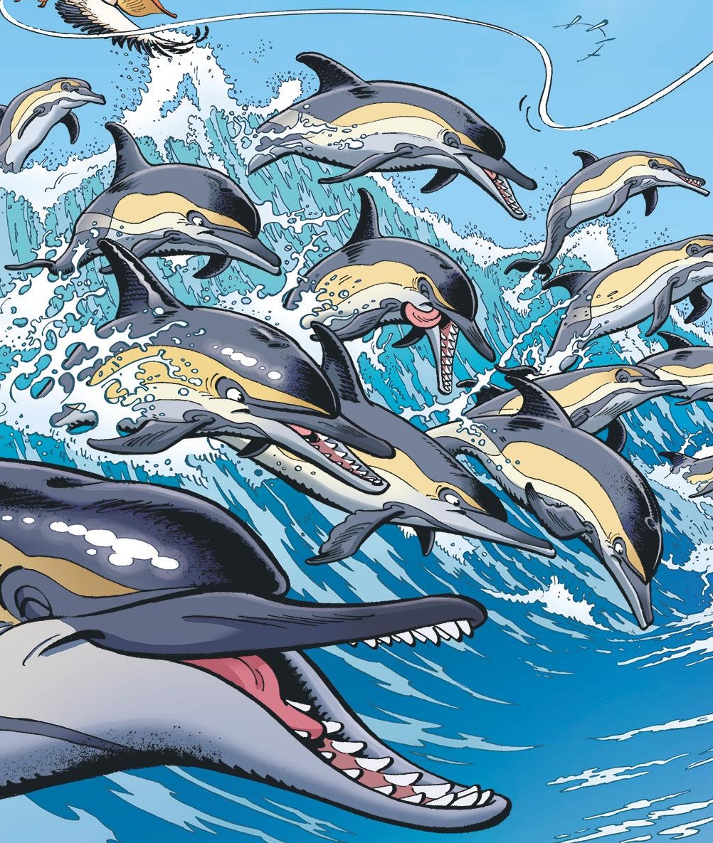 Nos BD pour mieux connaître les océans et leurs habitants
