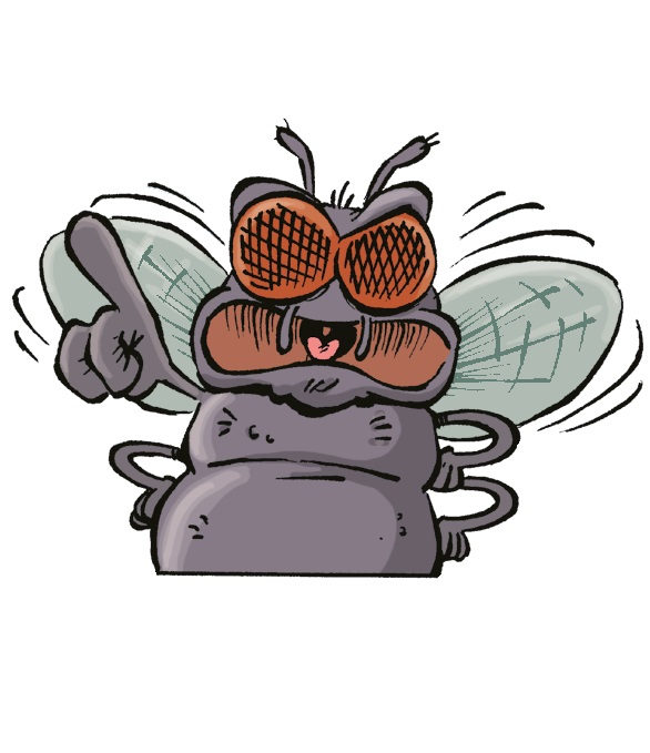 Pour la journée des insectes ? on a la BD parfaite !