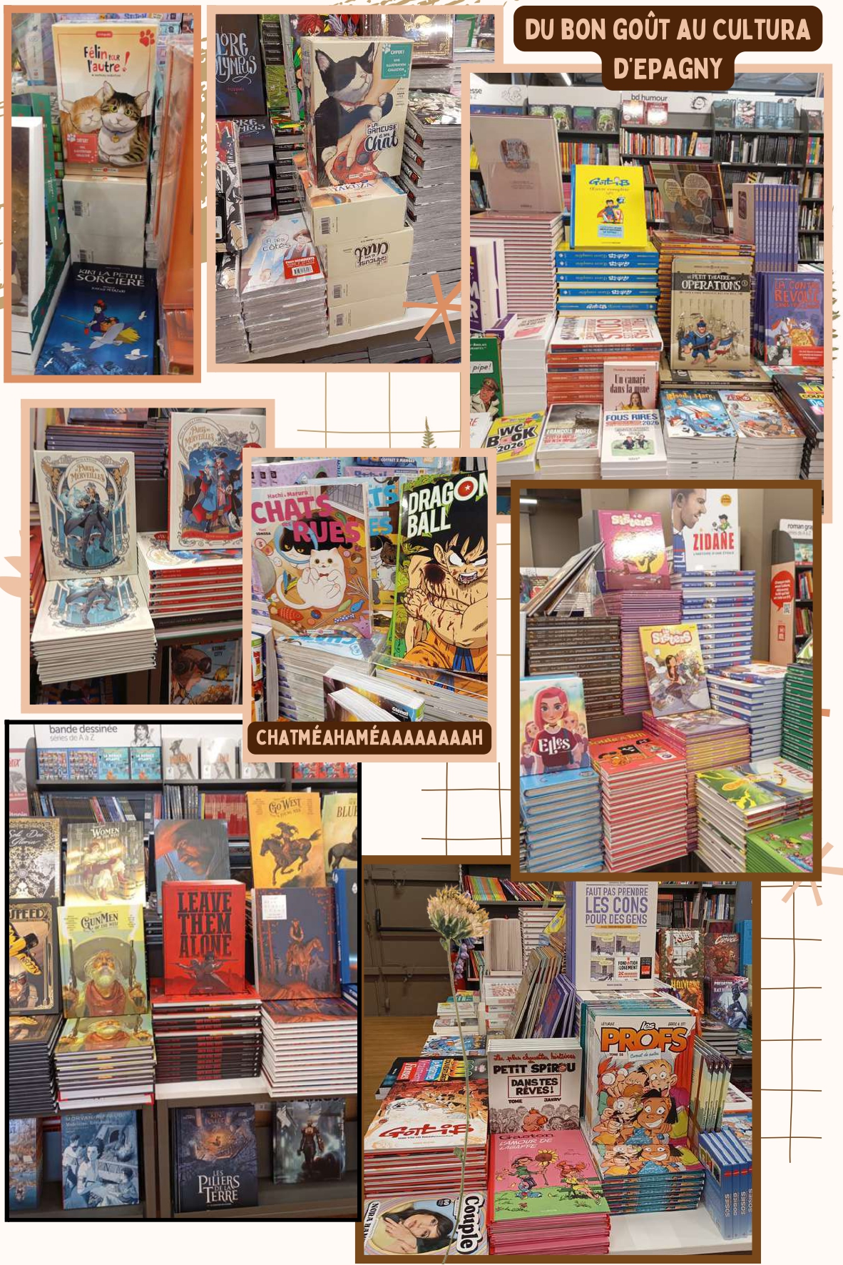 BAMBOO DANS VOS LIBRAIRIES, épisode 3