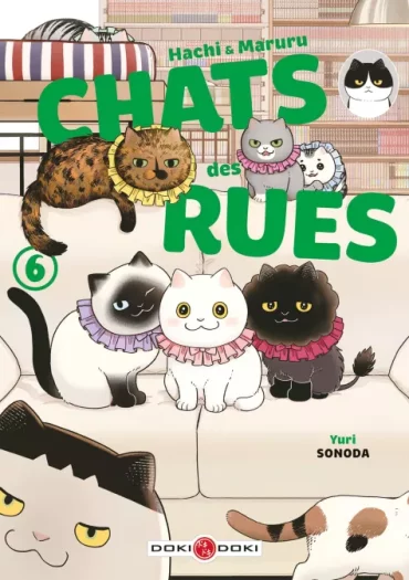 chats des rues tome 6