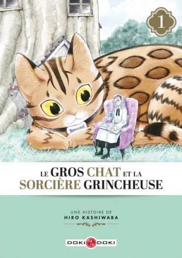 le gros chat et la sorcière grincheuse