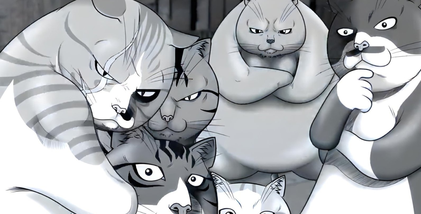 les chats en bd